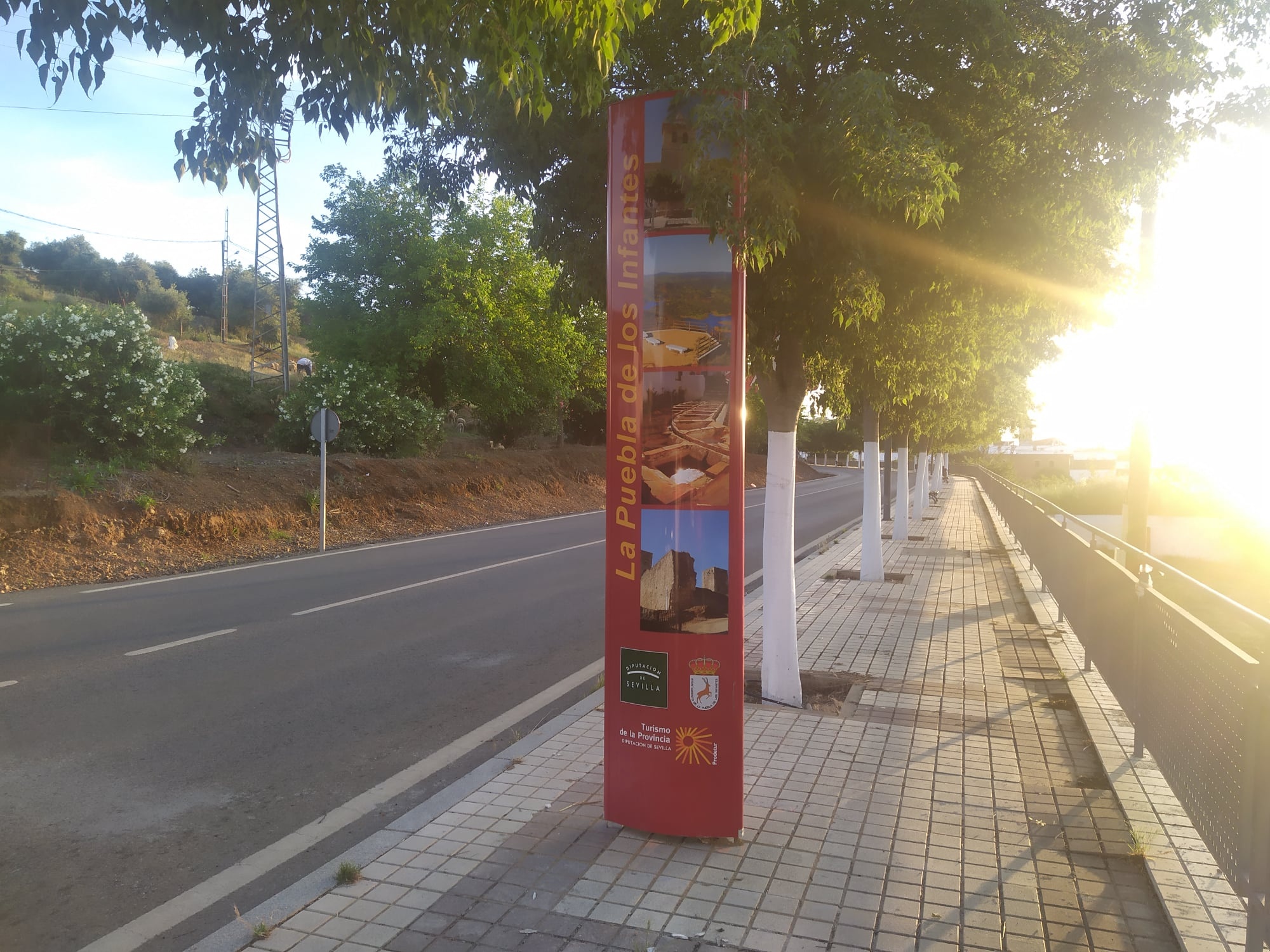 204696492_2961122257540922_776039089159995125_n